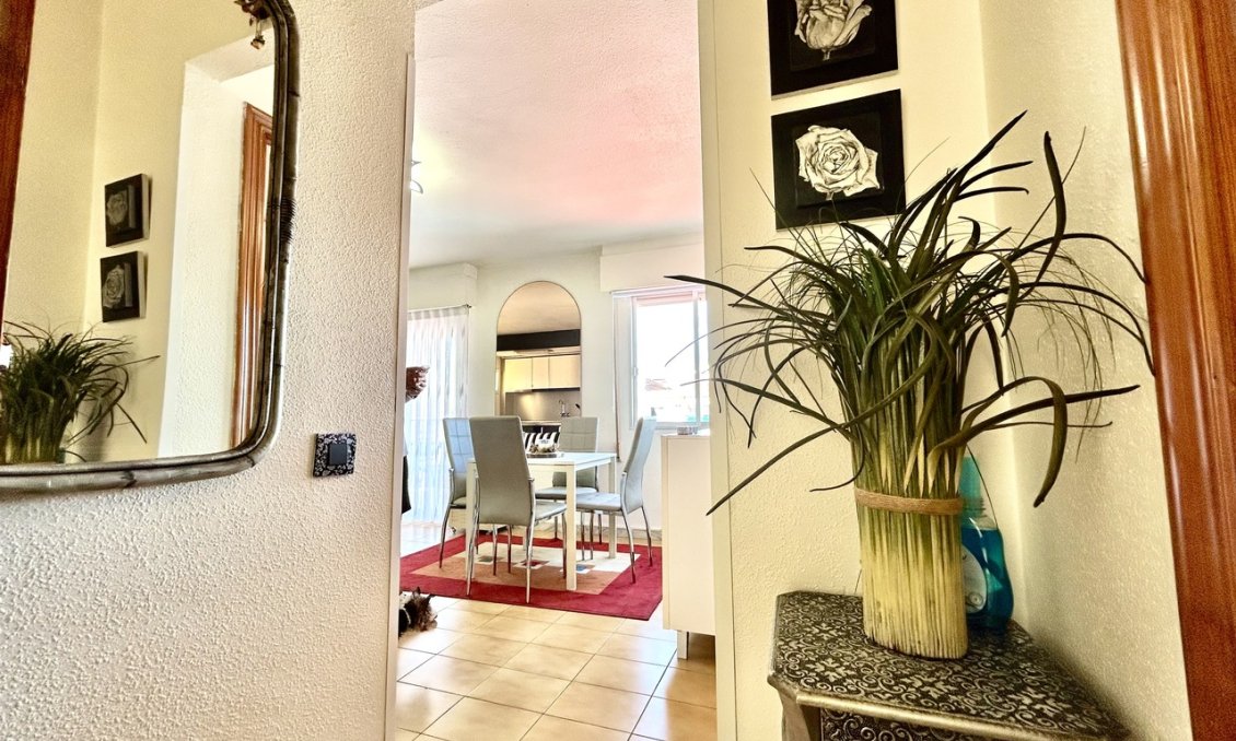 Segunda mano - Apartamento -
Torrevieja - Costa Blanca