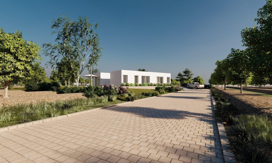 Új építésű - Villa -
Benejúzar - alta