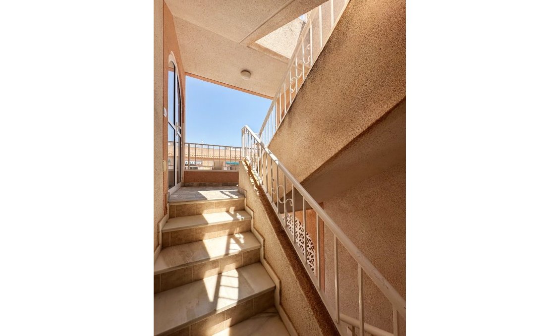 Segunda mano - Bungalow -
Torrevieja - Costa Blanca