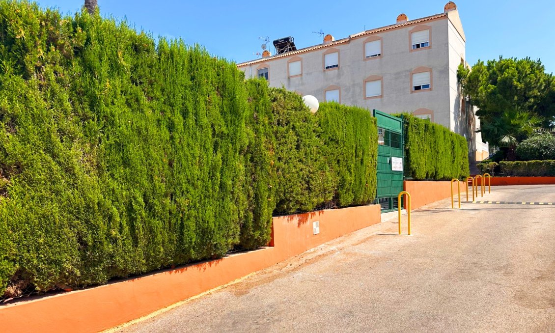 Segunda mano - Bungalow -
Torrevieja - Costa Blanca