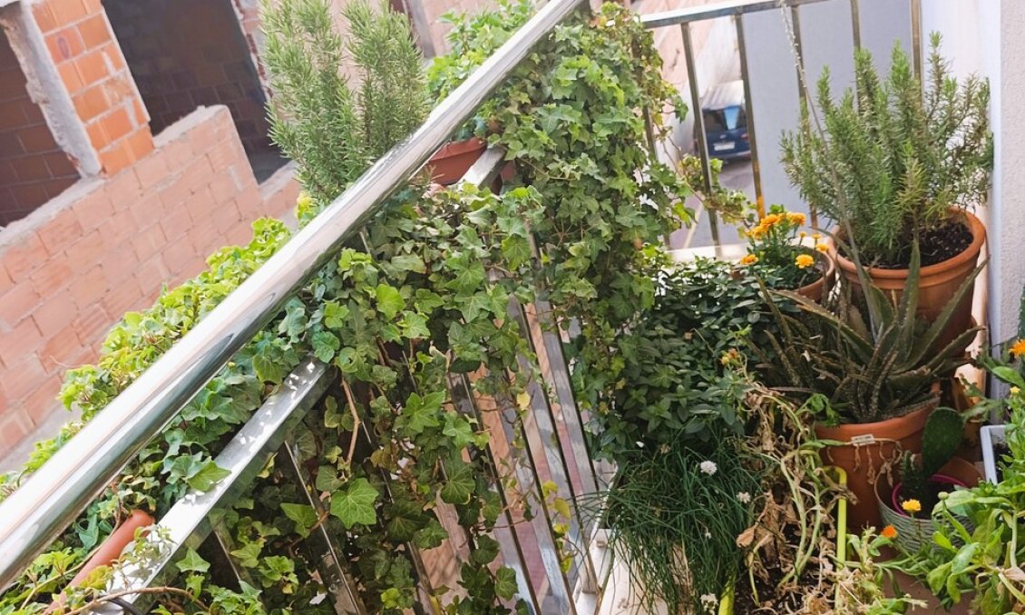 Segunda mano - Apartamento -
La Union - Inland