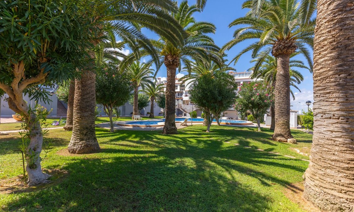 Segunda mano - Apartamento -
La Mata - Costa Blanca