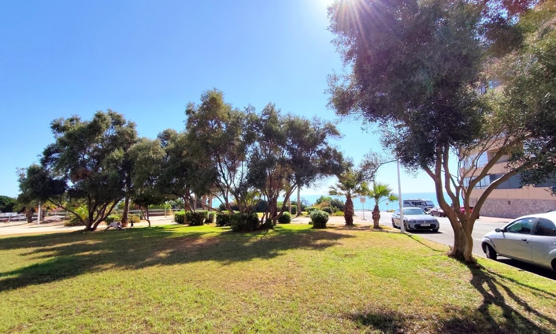 Segunda mano - Apartamento -
Torrevieja - Costa Blanca