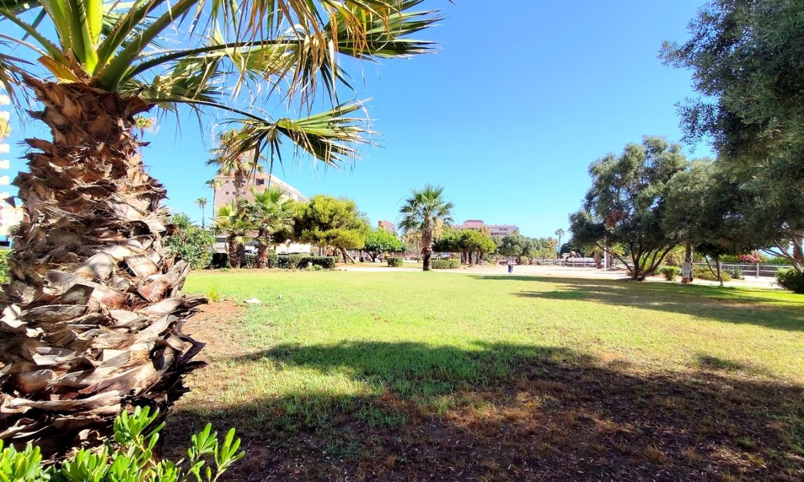 Segunda mano - Apartamento -
La Mata - Costa Blanca