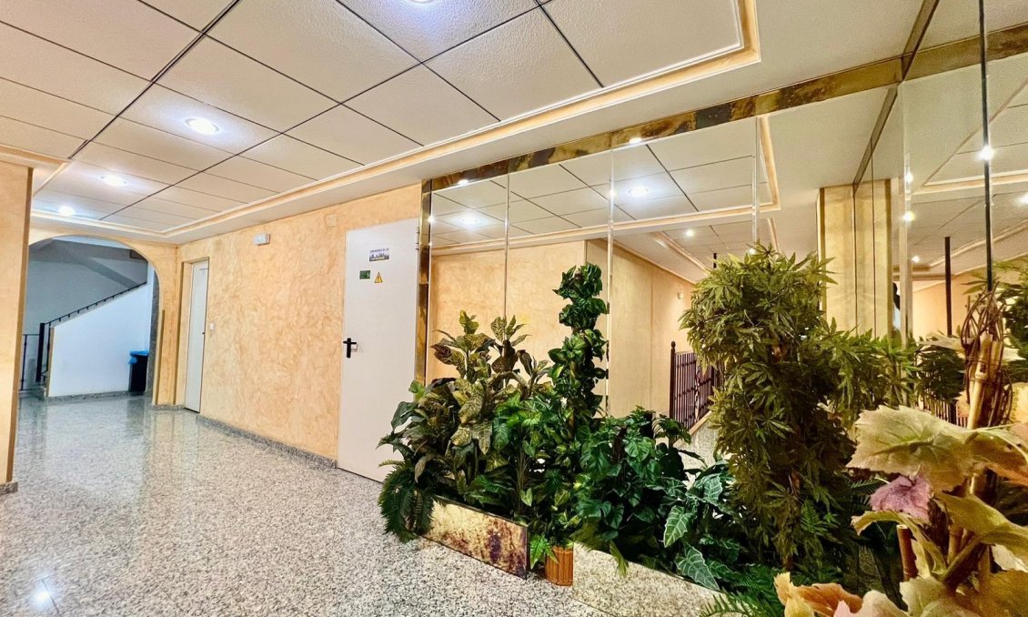 Resale - Apartment -
Torrevieja - Playa del Cura