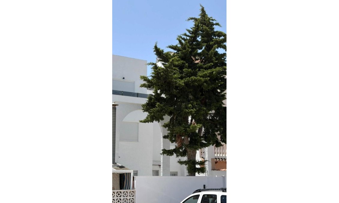 Resale - Townhouse -
Torrevieja - Calas Blanca