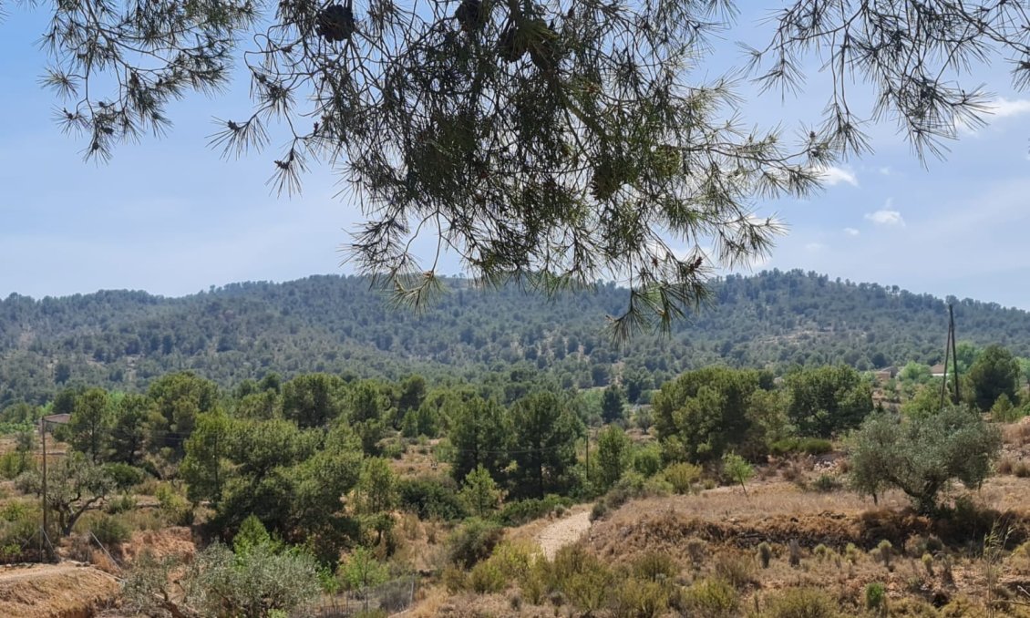 Segunda mano - Villa -
Monóvar/Monóver - Inland