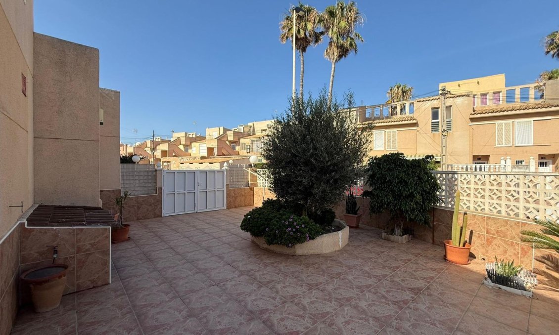 Segunda mano - Duplex -
Torrevieja - Los Frutales