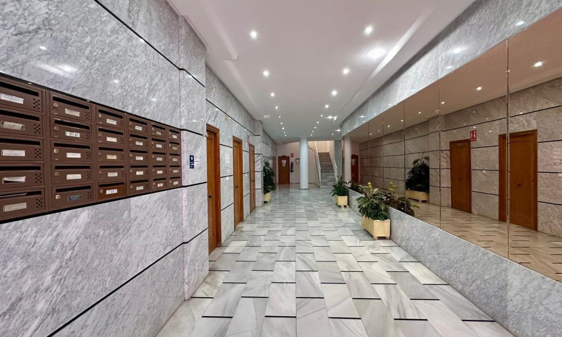 Használt Ingatlanok - Apartman -
Torrevieja - Estacion De Autobuses