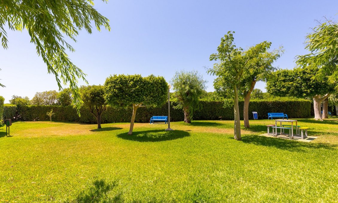 Segunda mano - Apartamento -
La Mata - Costa Blanca