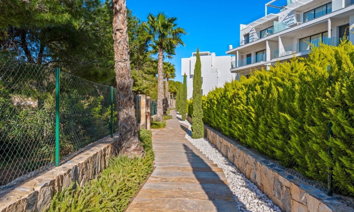 Segunda mano - Ático -
Las Colinas Golf - Costa Blanca