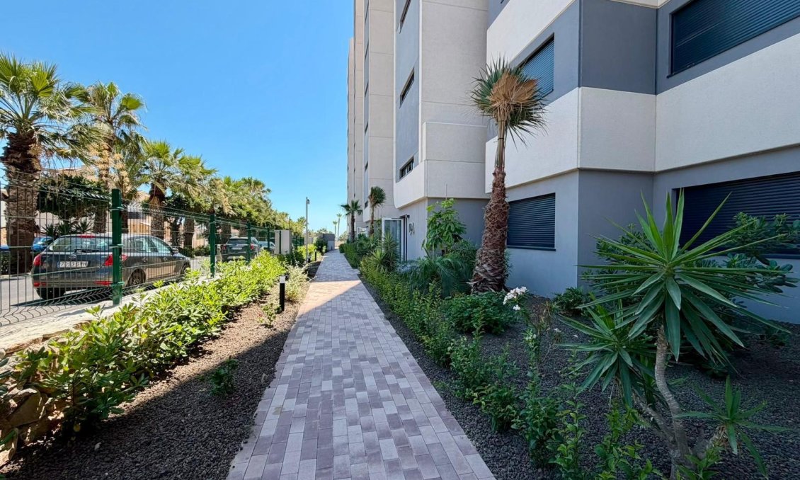Segunda mano - Apartamento -
Torrevieja - Punta Prima