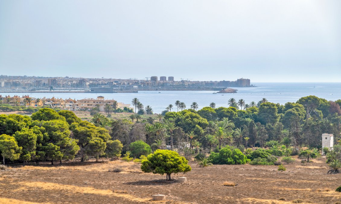 Segunda mano - Ático -
Punta Prima - Costa Blanca