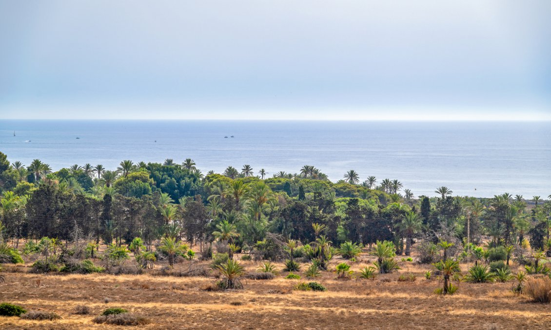Segunda mano - Ático -
Punta Prima - Costa Blanca