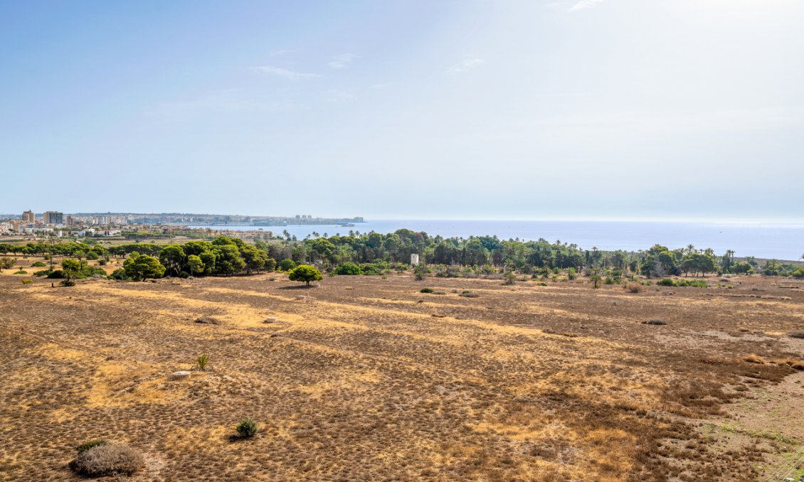 Segunda mano - Ático -
Punta Prima - Costa Blanca