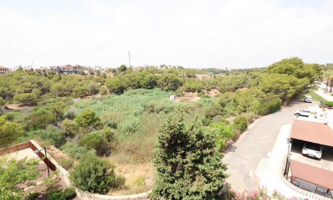 Segunda mano - Apartamento -
Orihuela Costa - Costa Blanca