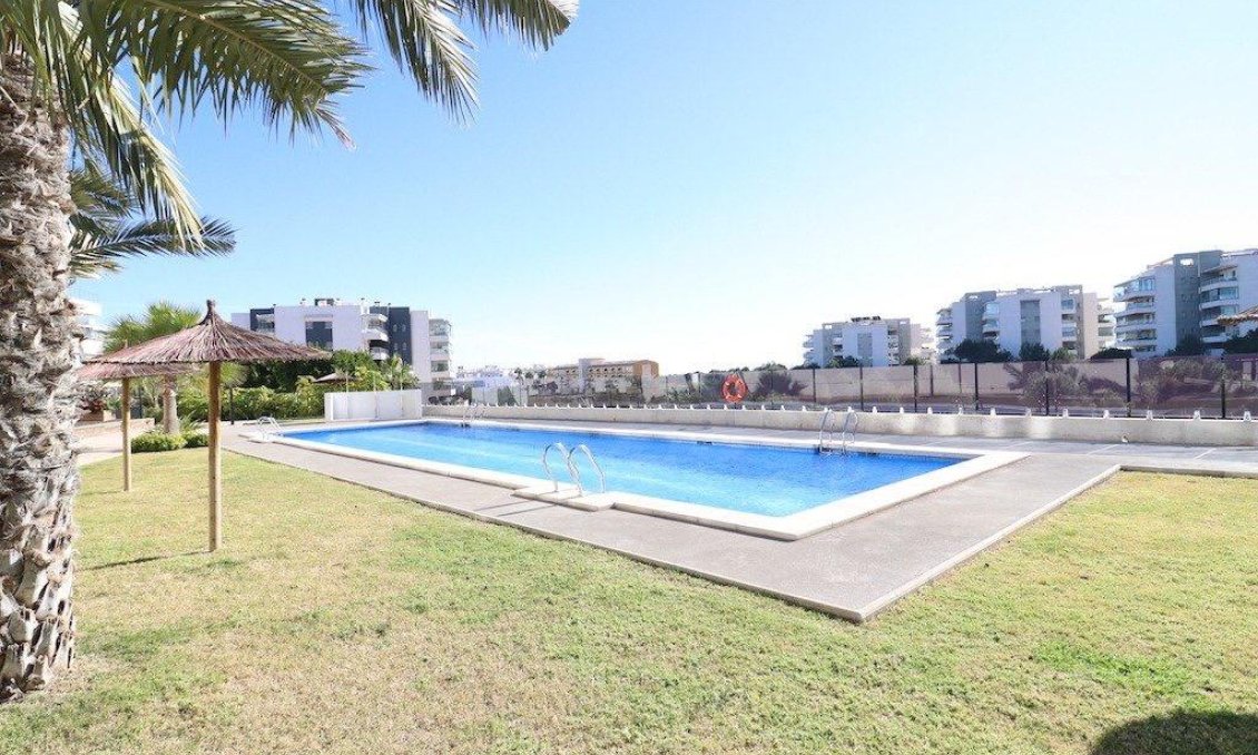 Segunda mano - Apartamento -
Orihuela Costa - Costa Blanca