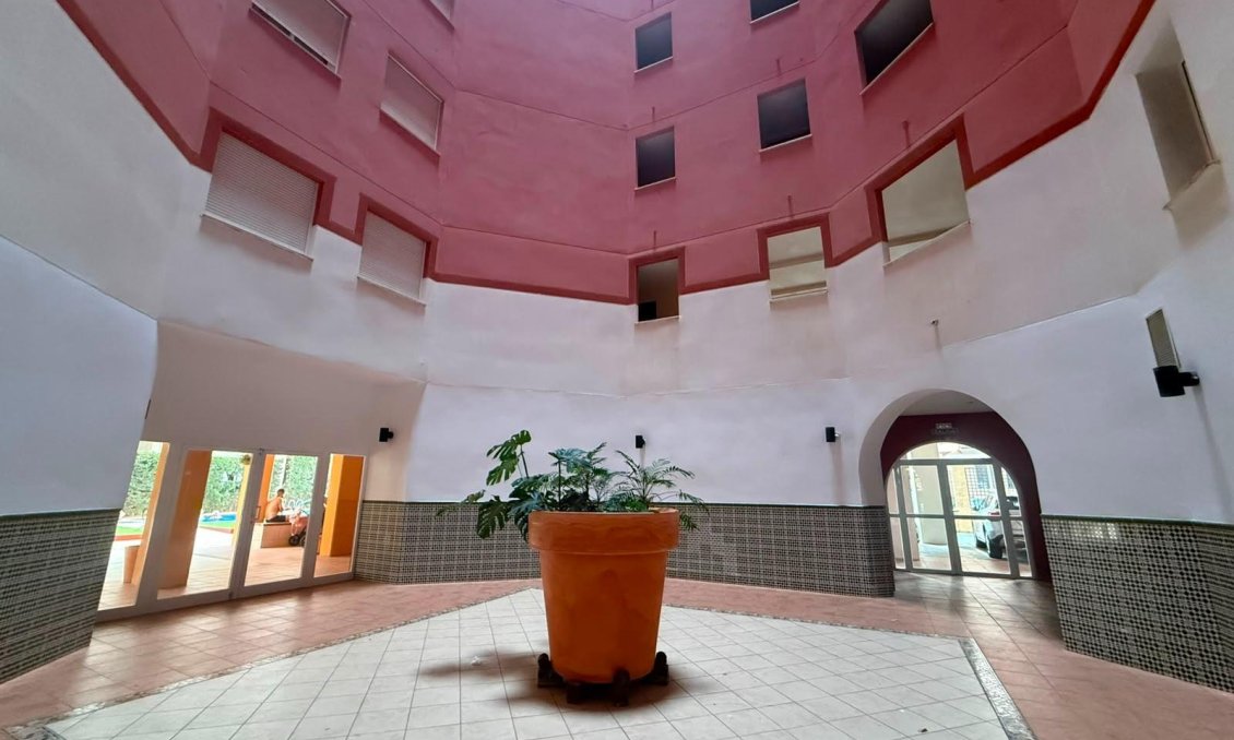 Segunda mano - Apartamento -
Torrevieja - Playa de los Locos