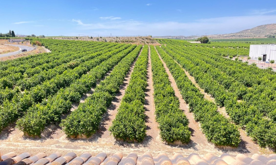 Segunda mano - Apartamento -
Algorfa - Inland