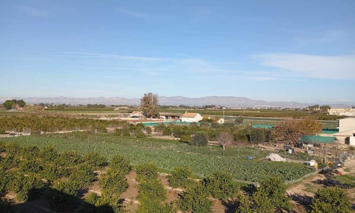 Wiederverkauf - Wohnung -
Daya Nueva - Costa Blanca