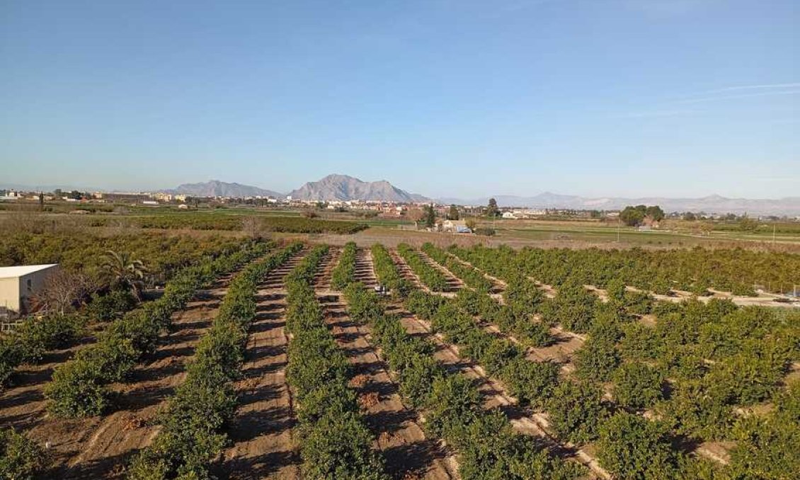 Wiederverkauf - Wohnung -
Daya Nueva - Costa Blanca