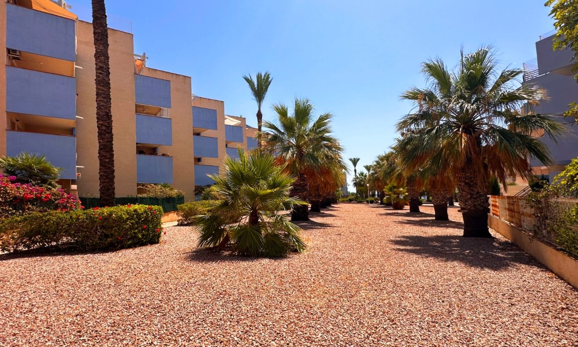 Segunda mano - Apartamento -
Orihuela Costa - Costa Blanca
