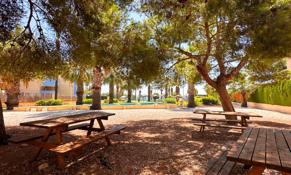 Segunda mano - Apartamento -
Orihuela Costa - Costa Blanca