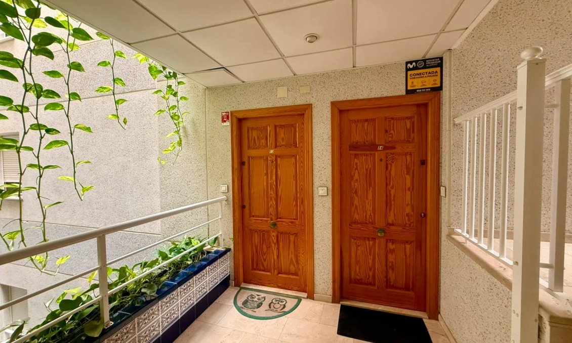 Használt Ingatlanok - Apartman -
Torrevieja - Playa del Cura