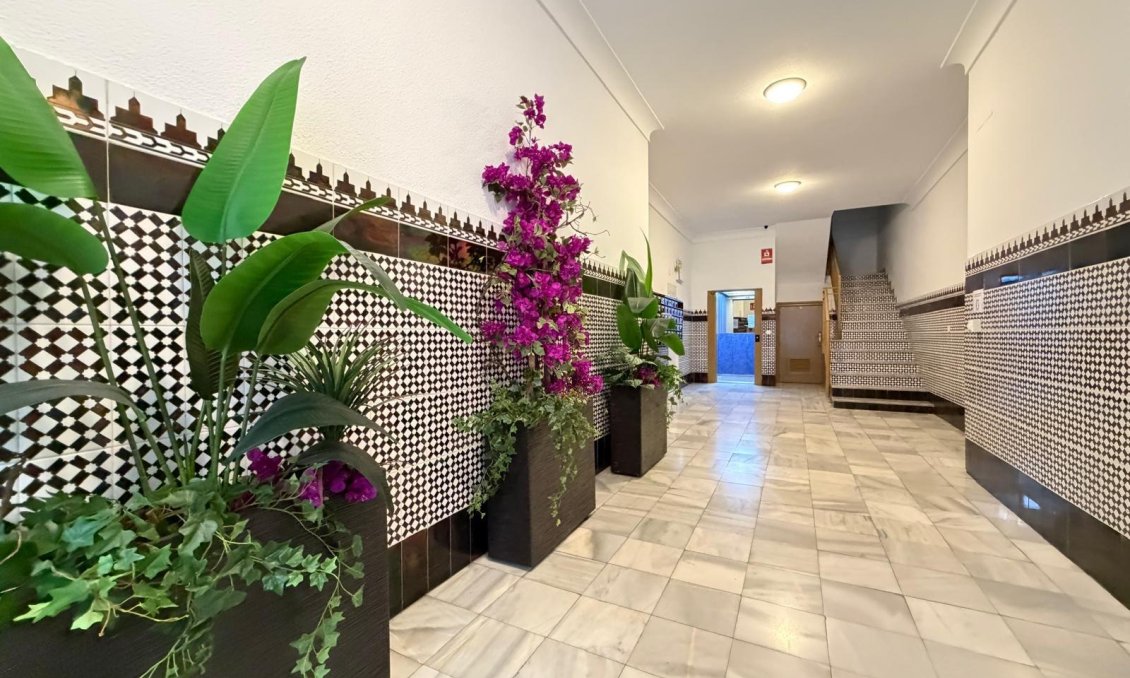 Használt Ingatlanok - Apartman -
Torrevieja - Playa del Cura
