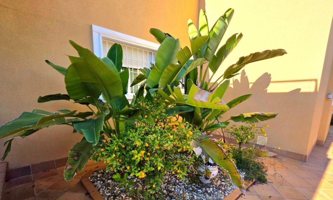 Resale - Townhouse -
Orihuela Costa - Altos De Campoamor