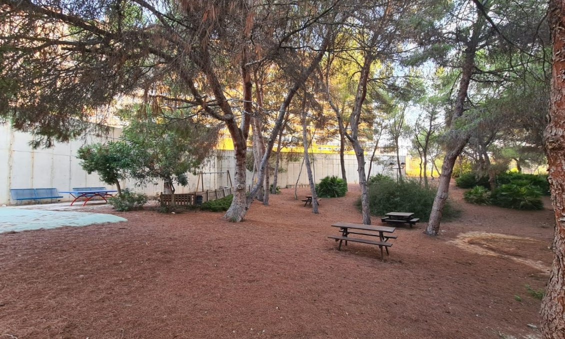 Resale - Apartment -
Orihuela Costa - Campoamor