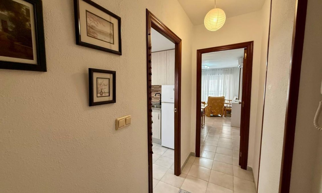 Használt Ingatlanok - Apartman -
Torrevieja - Playa del Cura
