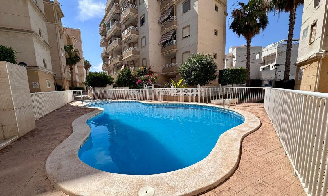 Segunda mano - Apartamento -
Torrevieja - Habaneras
