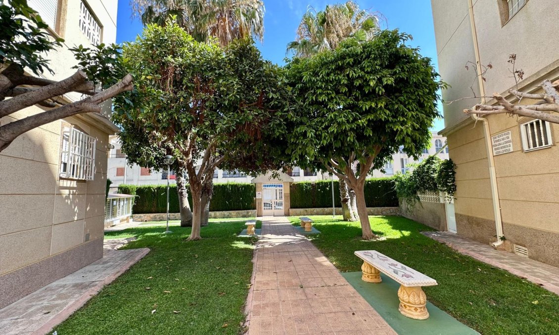 Segunda mano - Apartamento -
Torrevieja - Habaneras