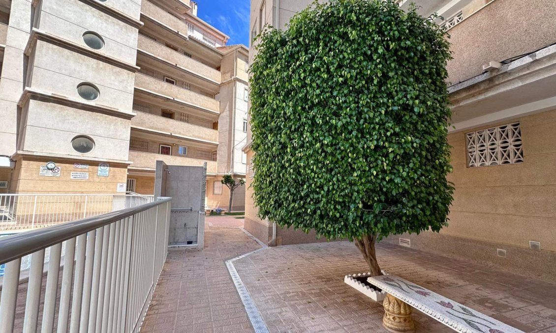 Segunda mano - Apartamento -
Torrevieja - Habaneras