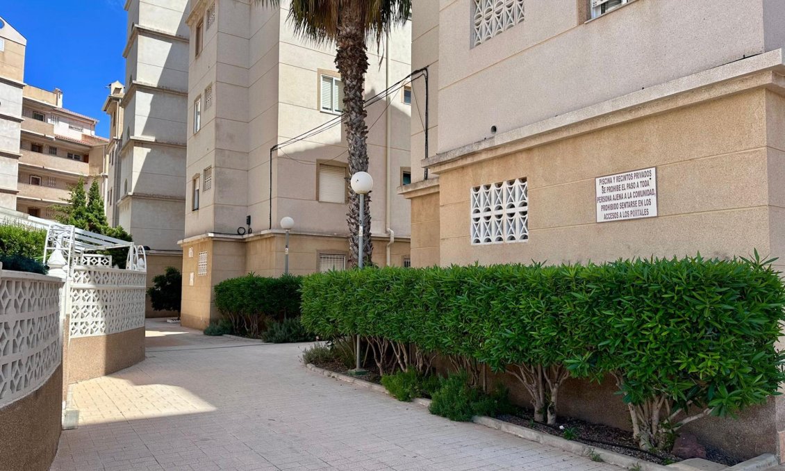 Segunda mano - Apartamento -
Torrevieja - Habaneras