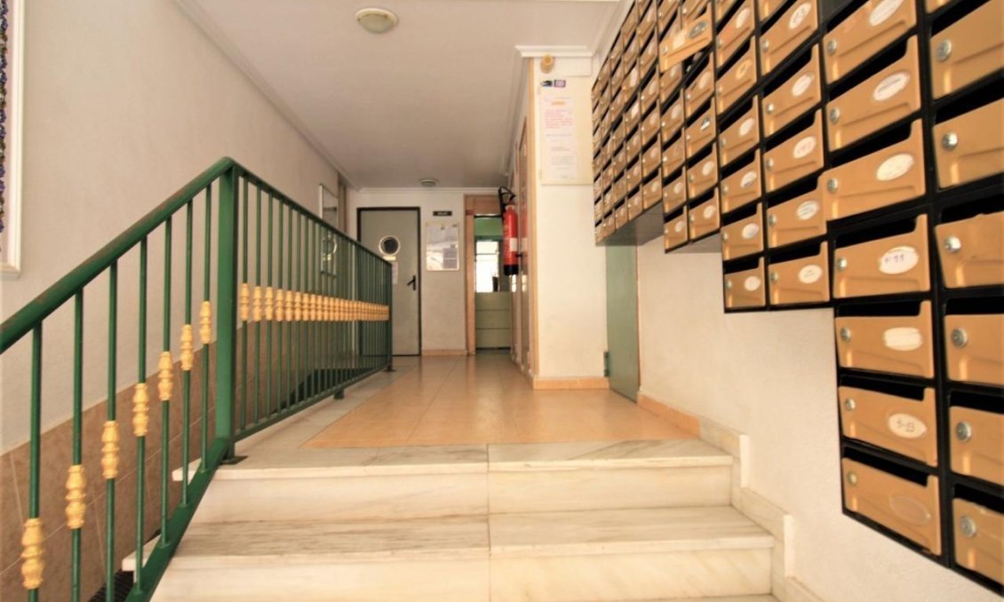 Segunda mano - Apartamento -
Torrevieja - Centro