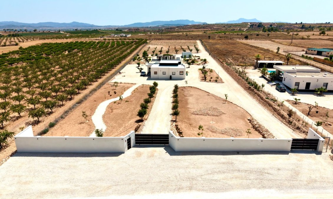 Resale - Villa -
Pinoso - Inland