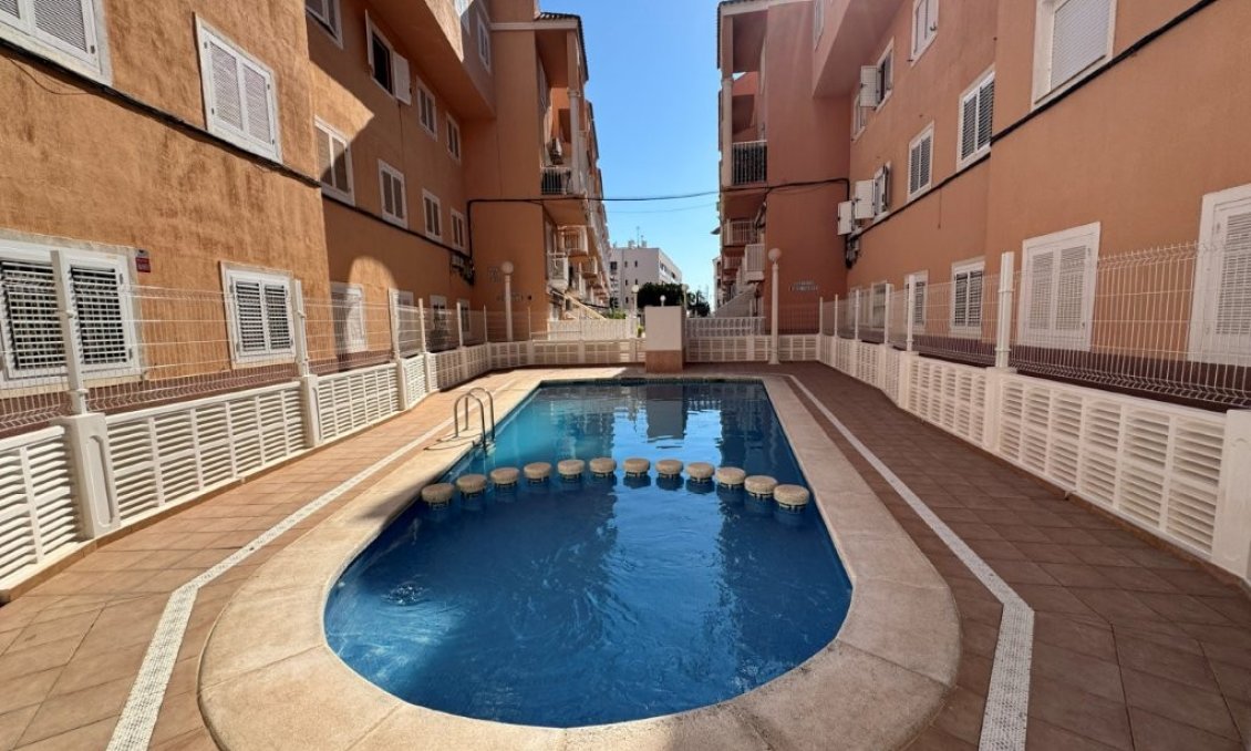 Segunda mano - Apartamento -
La Mata - Costa Blanca