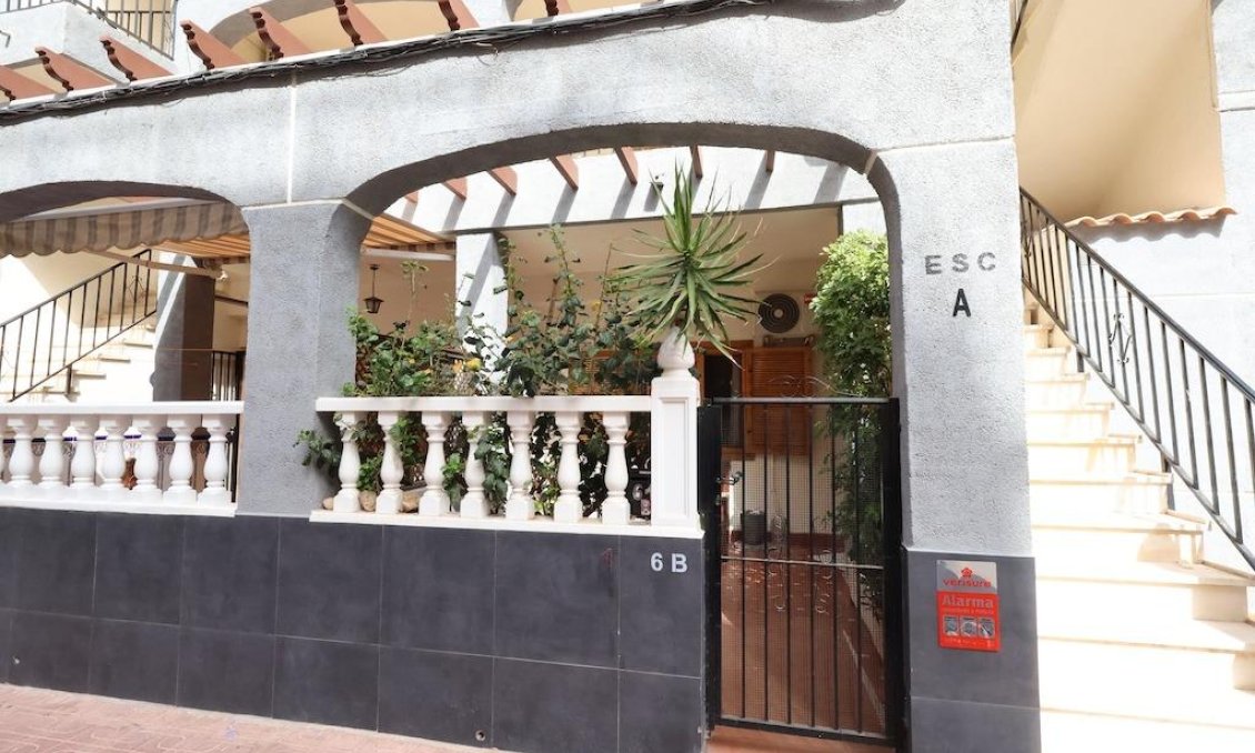 Használt Ingatlanok - Bungaló -
Torrevieja - Costa Blanca