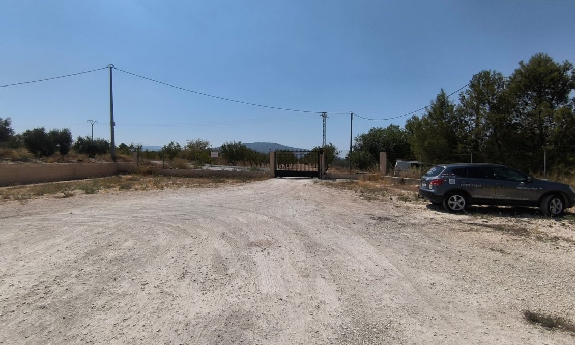 Resale - Villa -
Pinoso - Inland