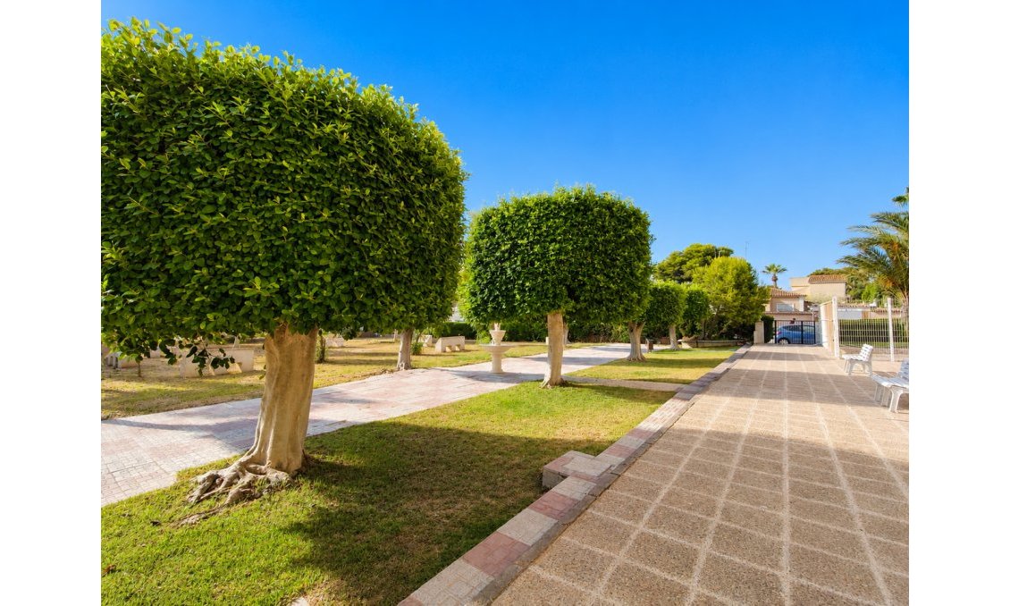 Wiederverkauf - Penthouse -
La Zenia - Costa Blanca