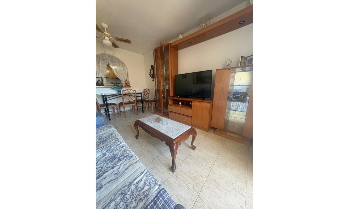 Használt Ingatlanok - Apartman -
Torrevieja - Costa Blanca
