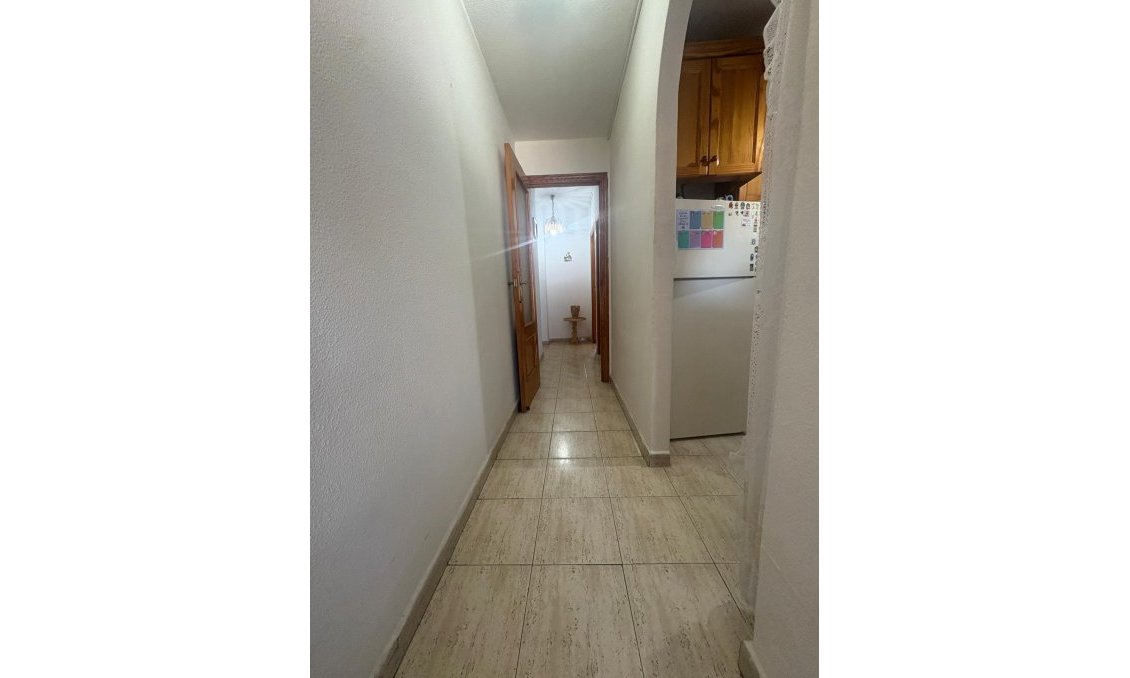 Használt Ingatlanok - Apartman -
Torrevieja - Costa Blanca