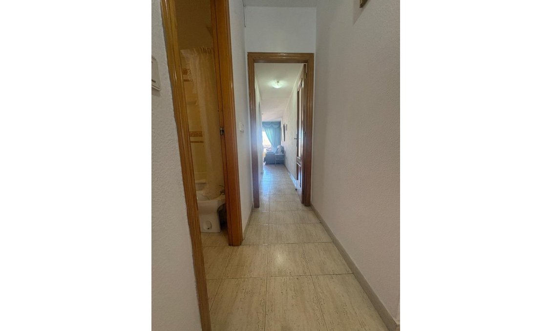 Használt Ingatlanok - Apartman -
Torrevieja - Costa Blanca