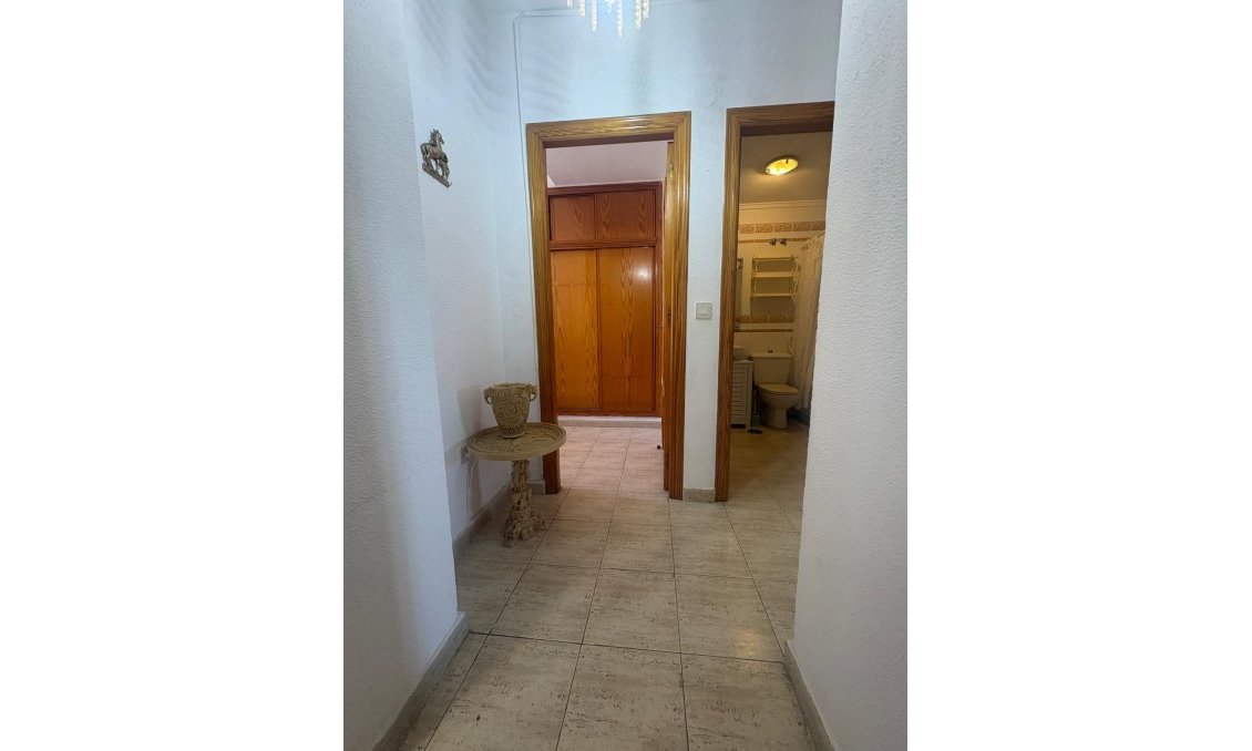 Használt Ingatlanok - Apartman -
Torrevieja - Costa Blanca