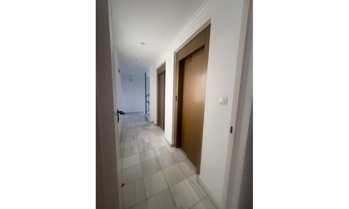 Használt Ingatlanok - Apartman -
Torrevieja - Costa Blanca