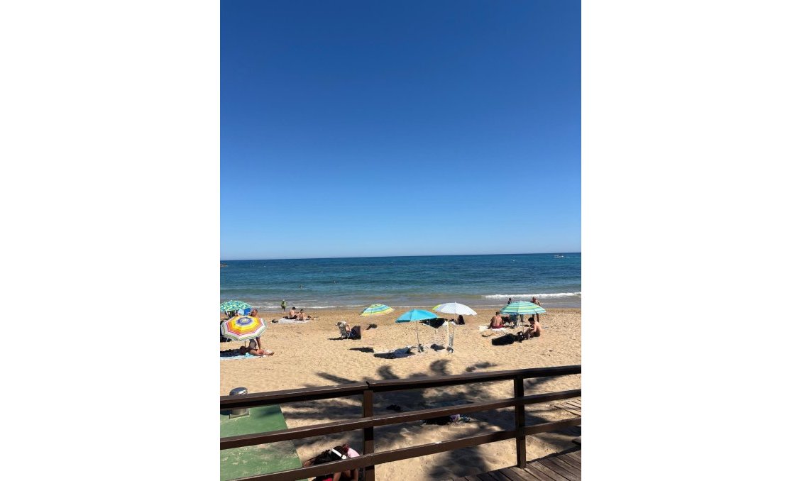 Használt Ingatlanok - Apartman -
Torrevieja - Costa Blanca