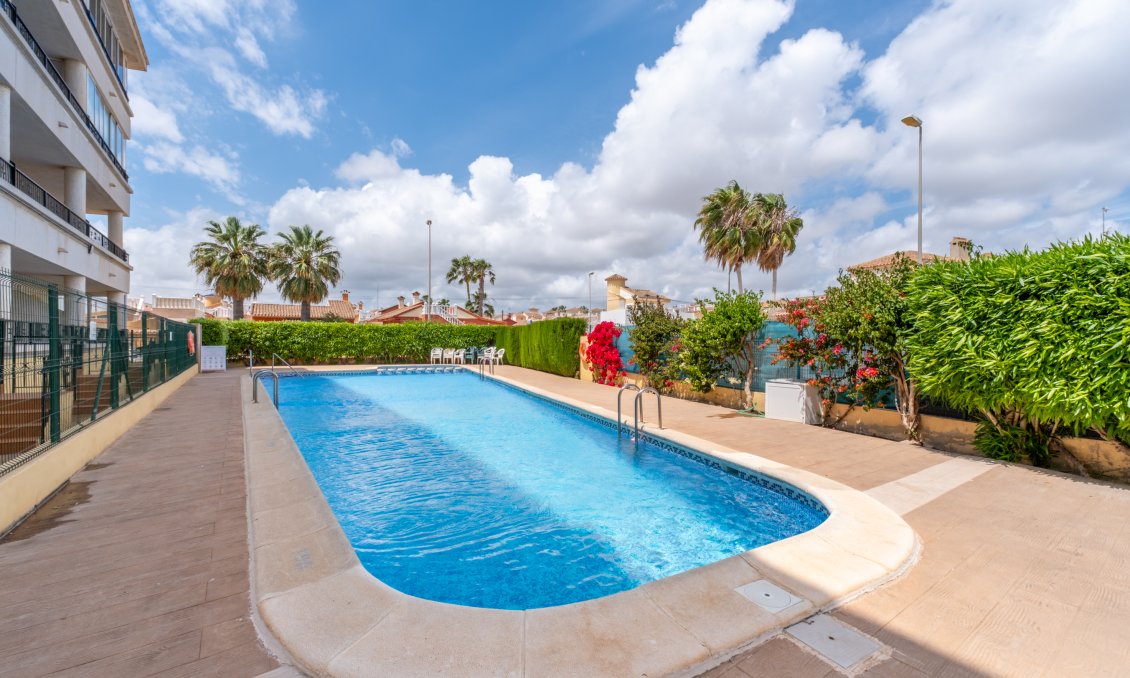 Használt Ingatlanok - Apartman -
Playa Flamenca - Costa Blanca