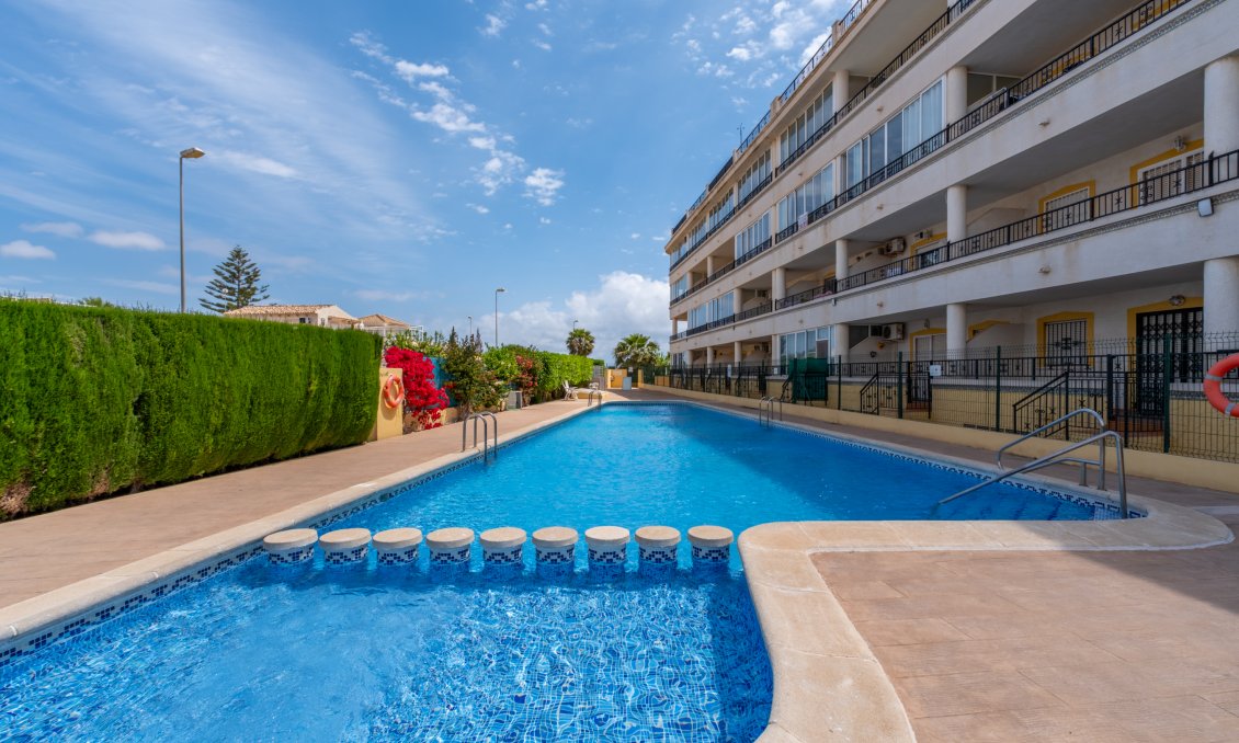 Használt Ingatlanok - Apartman -
Playa Flamenca - Costa Blanca